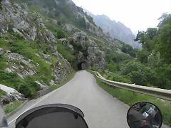 R0013115 R0013115