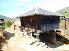 DSCN1513 DSCN1513
