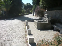 DSCN7777 DSCN7777