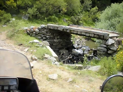 DSCN3981 DSCN3981