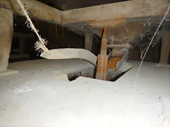 DSCN1597 DSCN1597