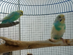 IMG20240902212135