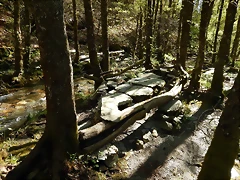 DSCN8992 DSCN8992