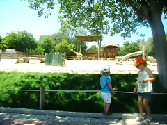 P7160332 P7160332
