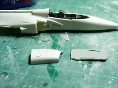P1080485 P1080485
