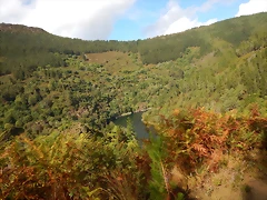 DSCN0202 DSCN0202