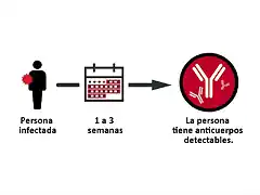 covid-seroprevalence-spanish