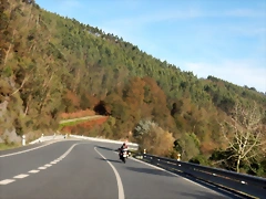 DSCN1481