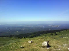 pabajo pabajo