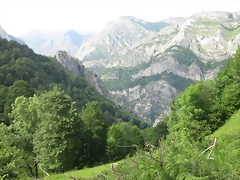IMG_1524 IMG_1524