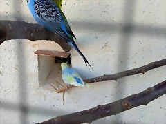 IMG_20180328_184419