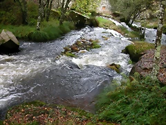DSCN5779 DSCN5779