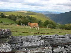 DSCN3274 DSCN3274