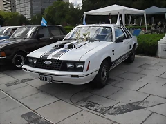 SDC15398 SDC15398