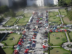 SDC15559
