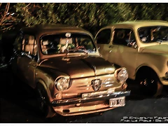 DSC_0376 DSC_0376