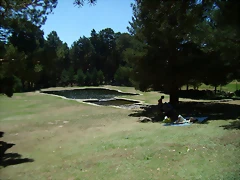 P8240229 P8240229
