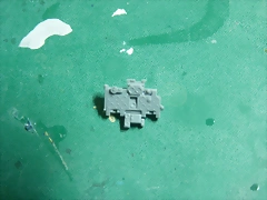 P1110302 P1110302