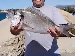 dorada_cristo_estepona