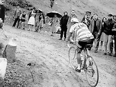 Gaul-Giro 60-Gavia