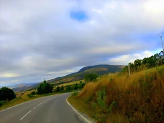 IMG_7946 IMG_7946