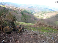DSCN7852 DSCN7852