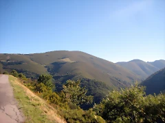 IMG_1050 IMG_1050