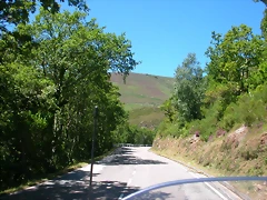 DSCN4576 DSCN4576