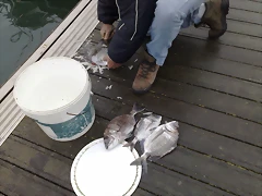 02012011800 02012011800