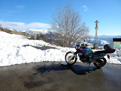 DSCN1847 DSCN1847