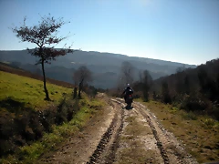 DSCN2276 DSCN2276