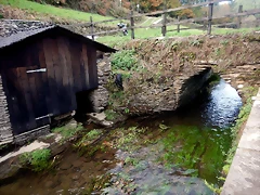 DSCN0578 DSCN0578
