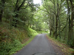DSCN4728 DSCN4728