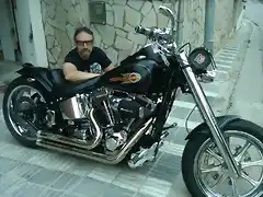 Harley New 01