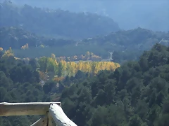 DSCF2079 DSCF2079