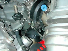 DSCN6407'5