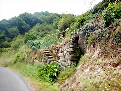 DSCN3420 DSCN3420