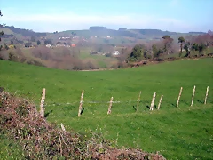 DSCN8133