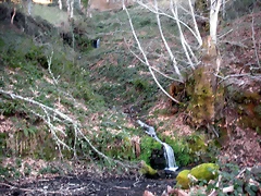 DSCN3006 DSCN3006