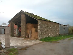 DSCN6034 DSCN6034