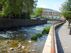 DSCN1025 DSCN1025