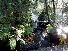 DSCN9724 DSCN9724