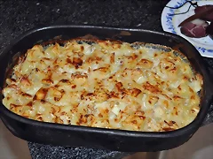 Bacalao Bacalao