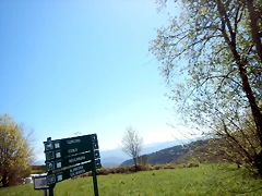 DSCN4566 DSCN4566