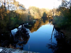 DSCN8970 DSCN8970