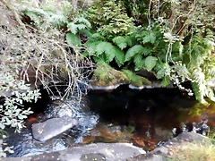 DSCN8433