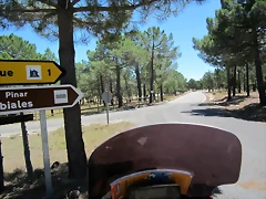 26a