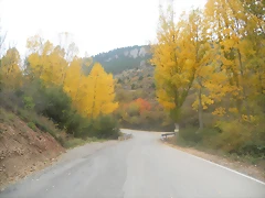 DSCN7917 DSCN7917