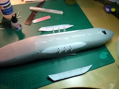 P1070584 P1070584
