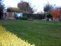 DSCN0650